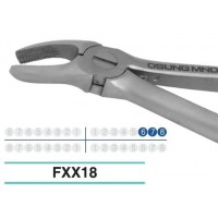 Adult Extraction Forcep, FXX18